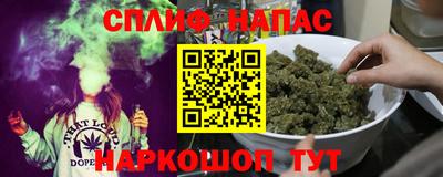 круглые Камышлов